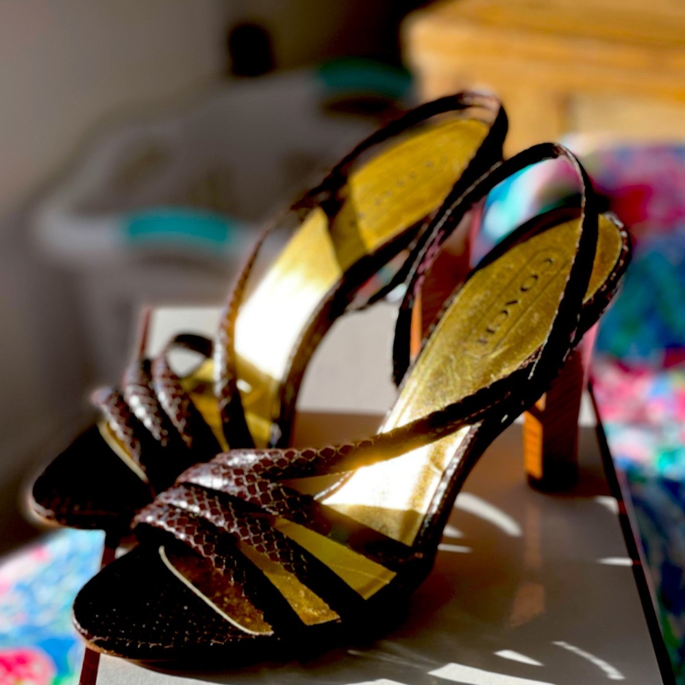 Coach python brown sandals NIB! 🤩🤩